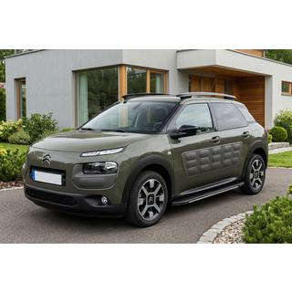 Боковые пороги Bosphorus Grey (2 шт., алюминий) Citroen Cactus 2014-2020 гг. фото 1