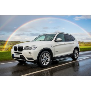 Боковые Подножки Rainbow (2 шт., Алюминий) BMW X3 F25 2011-2018 гг. фото 1