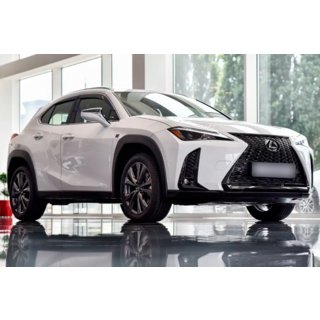 Ветровики с хромированным молдингом (4 шт, HIC) Lexus UX 2018- гг. фото 1
