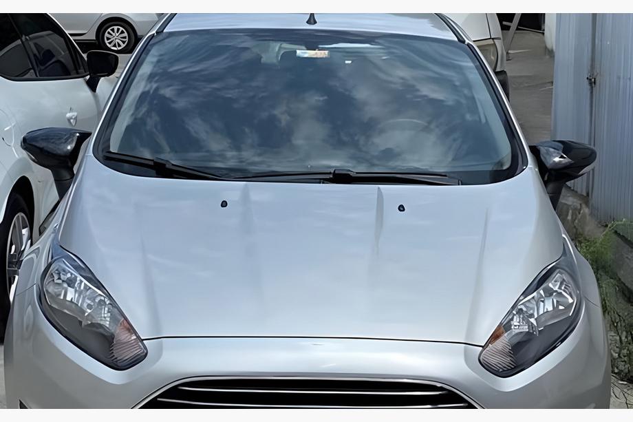 Ford Fiesta 2008-2017 гг. Накладки на Зеркала BMW-Style (2 шт) Фото 5