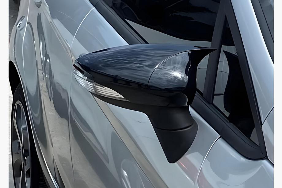 Ford Fiesta 2008-2017 гг. Накладки на Зеркала BMW-Style (2 шт) Фото 1