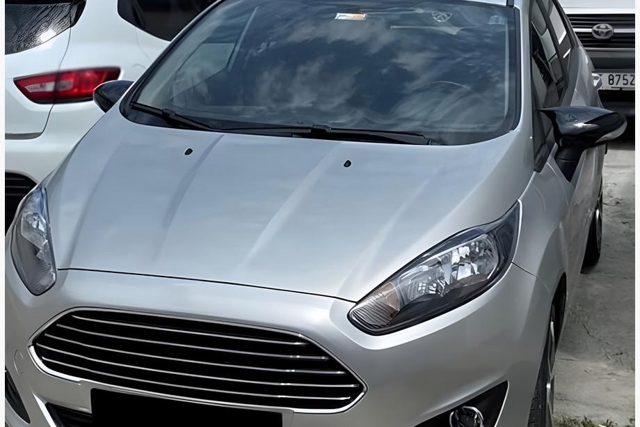 Ford Fiesta 2008-2017 гг. Накладки на Зеркала BMW-Style (2 шт) Фото 3