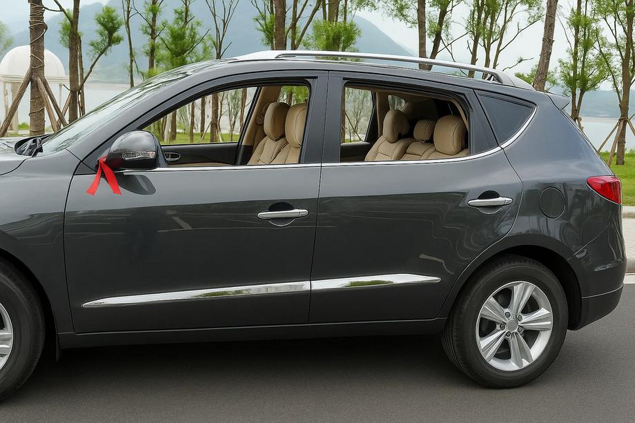 Geely Emgrand X7 2011- гг. Дверные молдинги Libao (4 шт, пластик) Image