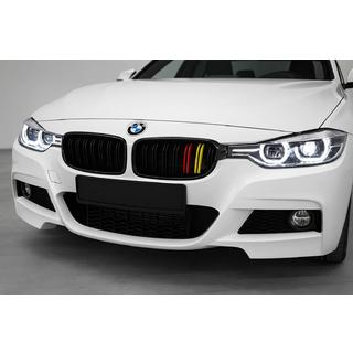 Ноздри M-Look (German Color) BMW 3 серия F30/F31 2012-2019 гг. фото 1