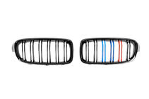 BMW 3 серия F30/F31 2012-2019 гг. Решетки радиатора M-Look (M-Color) фото 4
