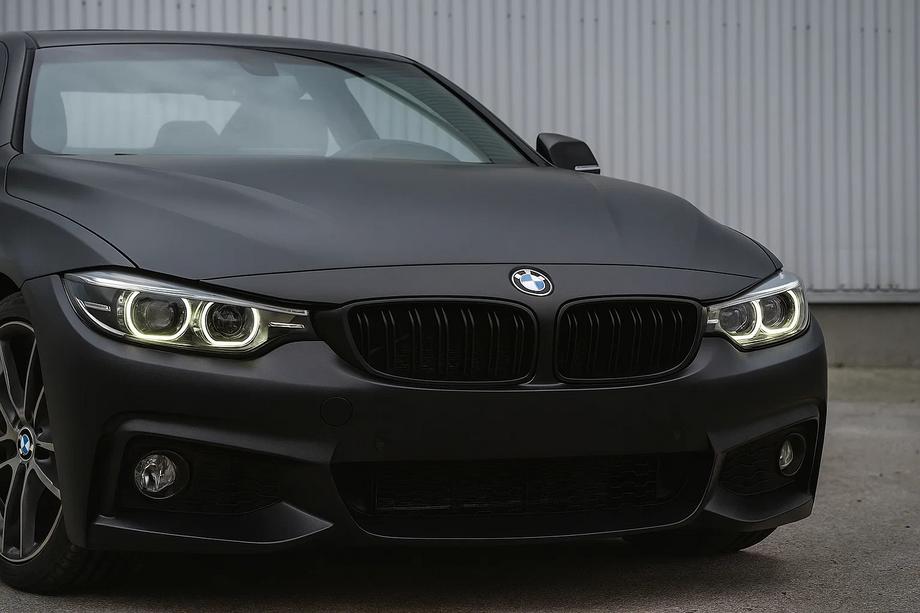 BMW 4 серия F32/F33/F36 2012-2020 гг. Ноздри M-Look (Черный Мат) Image