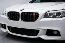 BMW 5 серия F10/F11 2010–2016 гг. Ноздри M-Look (German Color) фото 1