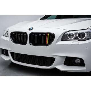 Ноздри M-Look (German Color) BMW 5 серия F10/F11 2010–2016 гг. фото 1