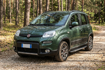 Fiat Panda 2011-2023 гг. Боковые Подножки Bosphore Grey (2 шт., Алюминий) фото 1